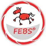 Ausbildung FEBS®-Reitpädagoge - Pferd und Kind - Spiel und Spaß -