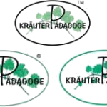 Logo Kräuterpädagoge - eingetragene Wort-Bildmarke